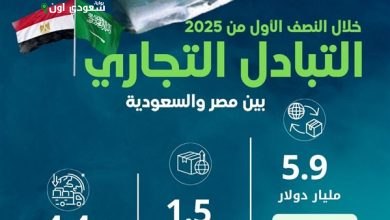 التبادل التجاري بين مصر والسعودية