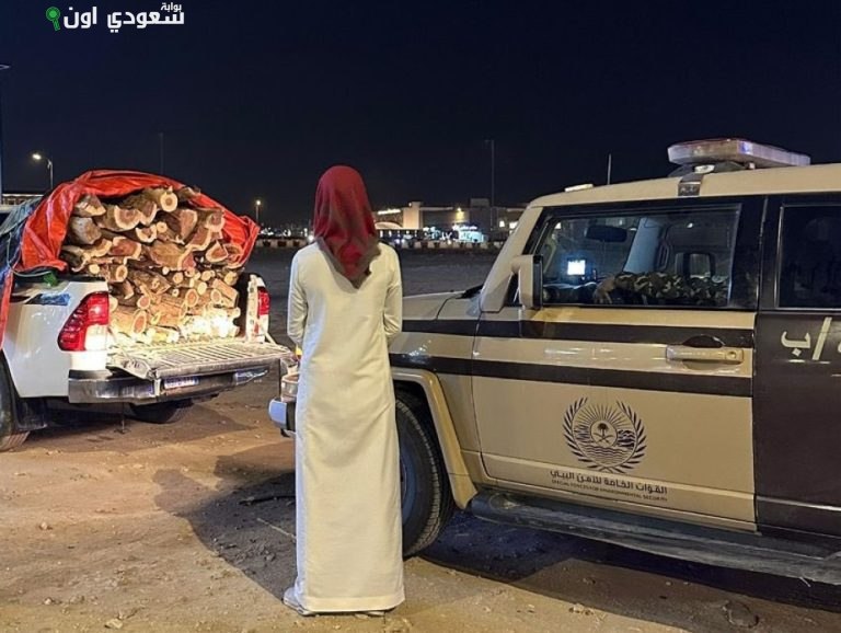 ضبط مواطن مخالف لنقل حطب محلي في منطقة المدينة المنورة