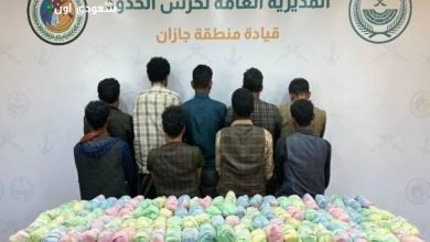 جازان: ضبط تسعة أشخاص متورطين في تهريب 180 كيلوغراماً من نبات القات