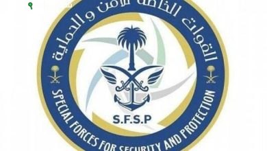 القوات الخاصة للأمن والحماية