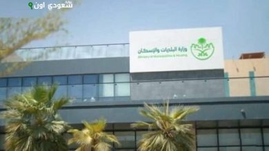 80 محطة هيدرولوجية ترصد أمطار 6 مناطق في المملكة