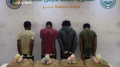 القبض على أربعة مخالفين