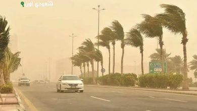 رياح قوية تضرب العاصمة المقدسة والجموم