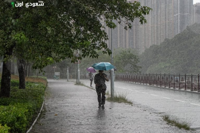 الأرصاد تعلن تحذيراً متقدماً للأمطار الغزيرة في الباحة