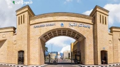 جامعة كفر الشيخ