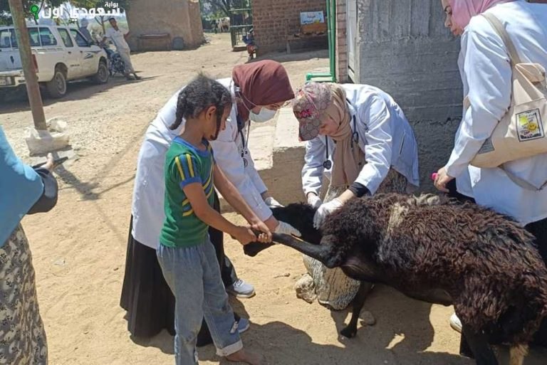 قوافل طبية بيطرية تعالج 1355 حيوانا بالنغاميش بسوهاج