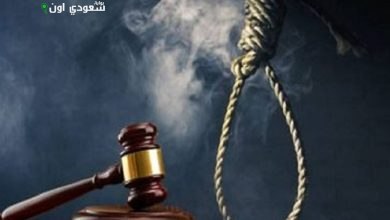 إحالة أوراق عامل متهم بقتل شخص في سوهاج للمفتي