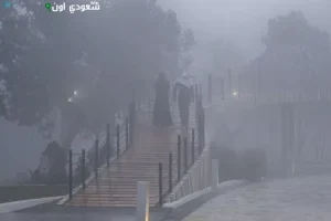 صورة مقال ذو صلة: ضباب خفيف يزين صباح المنطقة الشرقية بطقس مميز وجميل