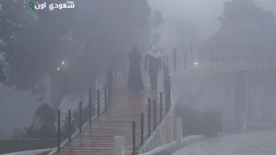 ضباب خفيف يزين صباح المنطقة الشرقية بطقس مميز وجميل