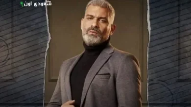 الفنان هاني عادل