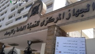 الجهاز المركزي للتعبئة العامة والإحصاء