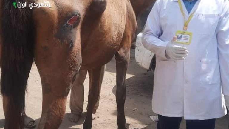 قافلة بيطرية مجانية تعالج 929 حالة في النواصرية بدمياط