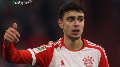 ألكسندر بافلوفيتش