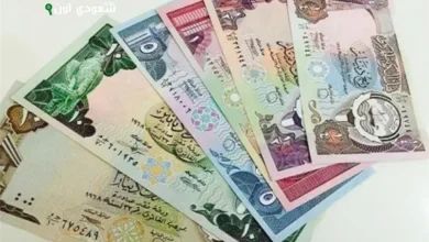 سعر الدينار الكويتي مقابل الجنيه المصري اليوم الأحد 3 أغسطس 2025