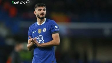 أرماندو برويا