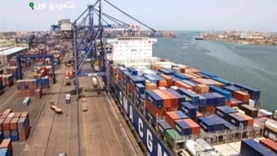بضائع متنوعة بالموانئ البحرية بالبحر الأحمر