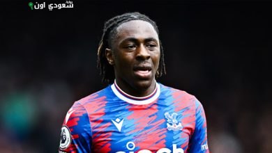 الجناح الإنجليزي إبيرتشي إيزي