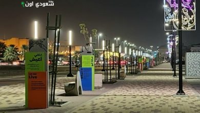 مشروع إنارة جديد يضيء ضاحية الملك فهد المجاورة بعد السفلتة والحدائق
