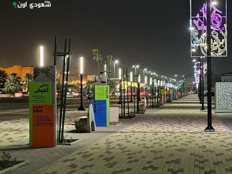 مشروع إنارة جديد يضيء ضاحية الملك فهد المجاورة بعد السفلتة والحدائق