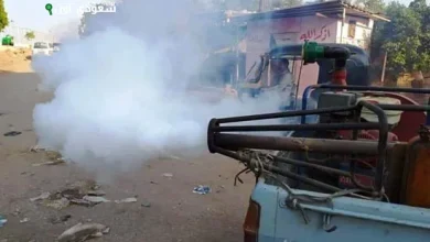 مكافحة البعوض والحشرات الطائرة