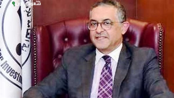 حسام هيبة، الرئيس التنفيذي للهيئة العامة للاستثمار
