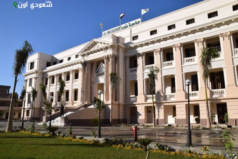 تعيين مشرفين جدد لإدارة المدن الجامعية بجامعة بنها