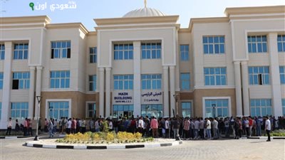 جامعة دمياط الأهلية