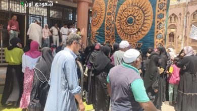انتخابات الشيوخ, إقبال السيدات على الانتخابات, الأقصر, مجلس الشيوخ 2025, لجنة مجلس مدينة إسنا, توافد الناخبين, القائمة الوطنية من أجل مصر, التصويت في مصر, إحصائيات الانتخابات, المشاركة النسائية في الانتخابات