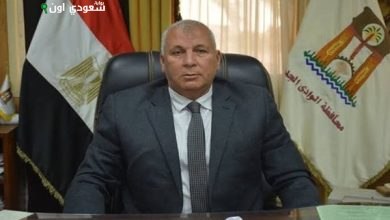 محافظ الوادي الجديد