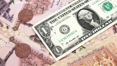 الدولار يتصاعد أمام الجنيه المصري