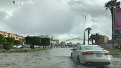تحذير من «المدني» بأمطار غزيرة في الطائف