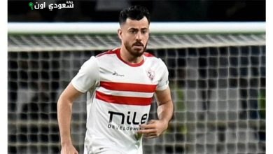 محمود حمدي الونش
