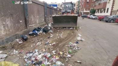 جهود مستمرة لتنظيف حى ثالث الإسماعيلية من القمامة