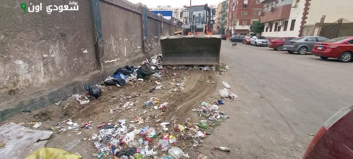 جهود مستمرة لتنظيف حى ثالث الإسماعيلية من القمامة