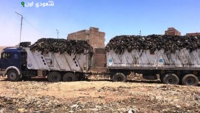 رفع 30 طنا من القمامة والمخلفات الصلبة