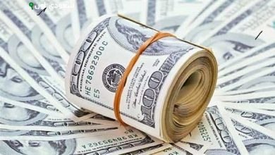 استقرار سعر الدولار
