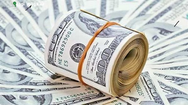 استقرار سعر الدولار