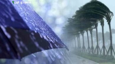 طقس اليوم رياح قوية وأمطار رعدية بأربع مناطق