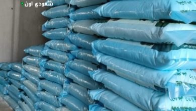 توزيع 31 ألف طن من الأسمدة على مزارعي المنوفية صيفاً
