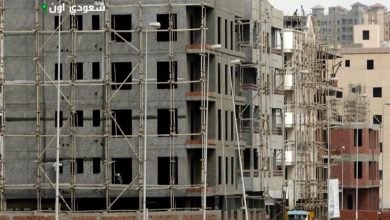 الإحصاء: 1313 ألف مبنى سكني مرخص وغير مرخص لعام 2024