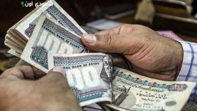 إصلاحات البنك المركزي تعزز قيمة الجنيه وتؤدي لتحسن الأصول والسيولة المالية