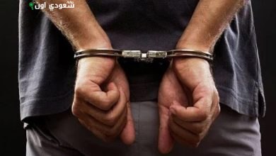 القبض على ثلاثة متهمين بتهريب 72 كيلوجرامًا من نبتة القات