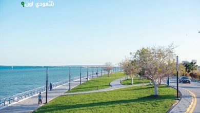 طوير كورنيش الخبر يشمل 10 آلاف م² من المسطحات الخضراء وممشى حديث