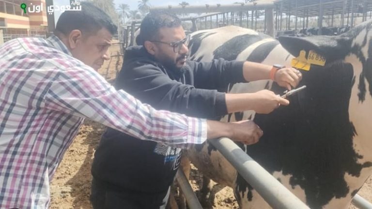 محافظ الإسماعيلية يراقب جهود "الطب البيطرى" لحماية الثروة الحيوانية