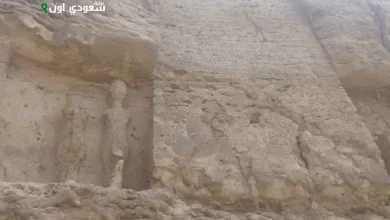 اكتشف أبرز مقابر مدينة تل العمارنة في المنيا اليوم