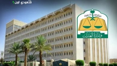 وزارة العدل تعلن عن فصل دوائر الأخطاء المهنية الصحية في 15,800 قضية