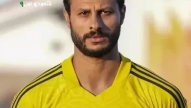 الشناوي