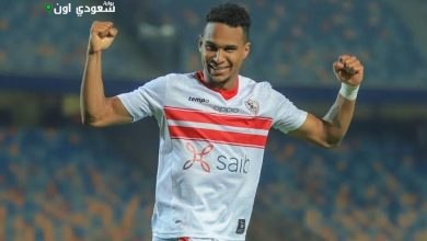 سيف الجزيري