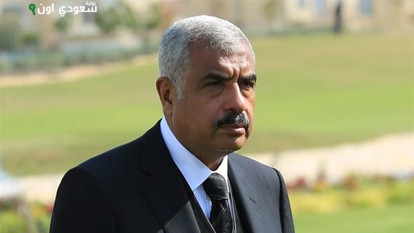 هشام طلعت مصطفى