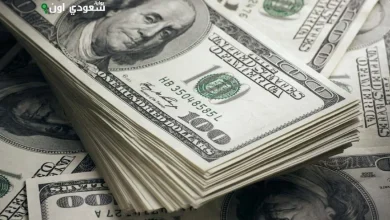 سعر الدولار اليوم مقابل الجنيه المصري في البنك المركزي يبلغ 48.61 جنيه